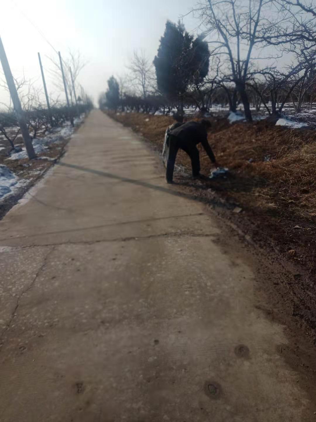 绿色旅程，种下站的心灵之旅寻找内心平静的力量
